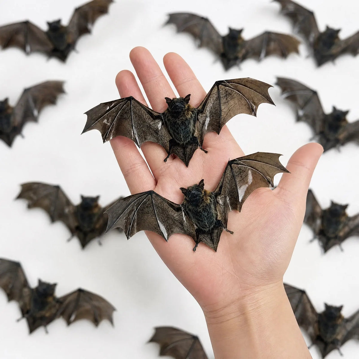 12Pcs 3D Vintage Bat Wall Stickers Realistic Horror Bat Decals