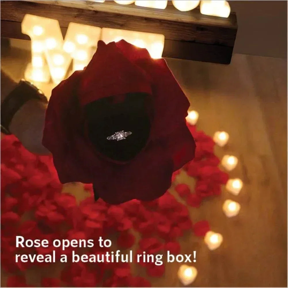 Proposal Decorations Kit Marry Me Light Up Letters 2000 Rose Petals 24 Flameless Candles for Valentine Day Proposal  Engagement