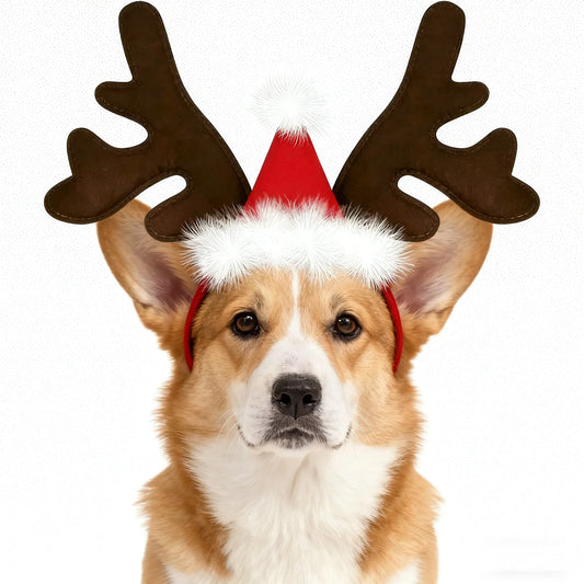 Pet Christmas Headband — Antler & Santa Hat Design