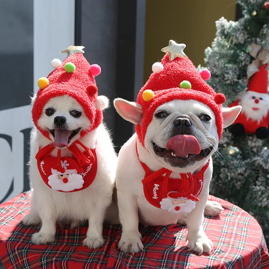 Pet Christmas Bib & Hat Set